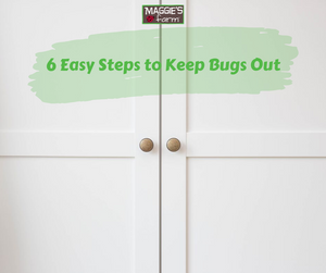 6 Easy Steps to Keep Bugs Out