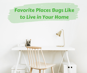 Favorite Places Bugs Like to Live in Your Home. White writing desk with a wooden chair. White wall behind the desk.