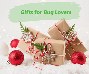 Gifts for Bug Lovers