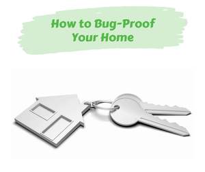 How to Bug-Proof Your Home. Key chain with a silver house charm and two keys on a white background.