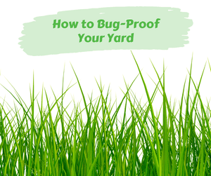 How to Bug-Proof Your Yard. Close up of grass on white background.