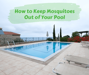 How to Keep Mosquitoes Out of Your Pool
