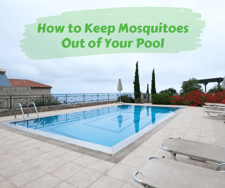 How to Keep Mosquitoes Out of Your Pool