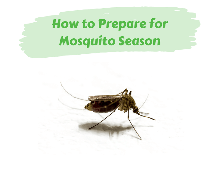 How to Prepare for Mosquito Season