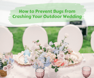 How to Prevent Bugs from Crashing Your Outdoor Wedding. Decorated wedding table with flowers. Grass blurred in the distance.