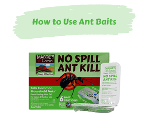 How to Use Ant Baits