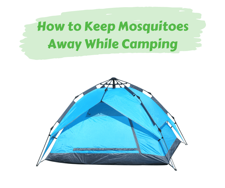How to Keep Mosquitoes Away While Camping