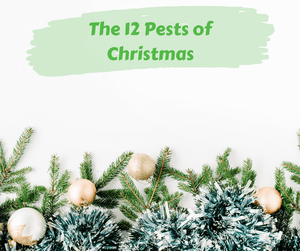 The 12 Pests of Christmas