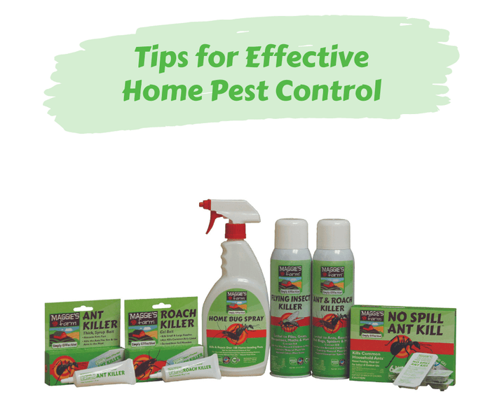 Tips for Effective Home Pest Control