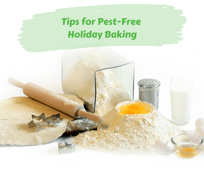 Tips for Pest-Free Holiday Baking