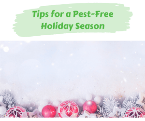 Tips for a Pest-Free Holiday Season