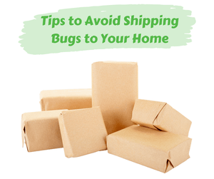 Tips to Avoid Shipping Bugs to Your Home