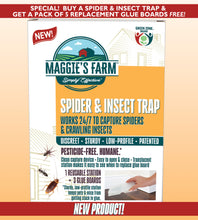 Spider & Insect Trap