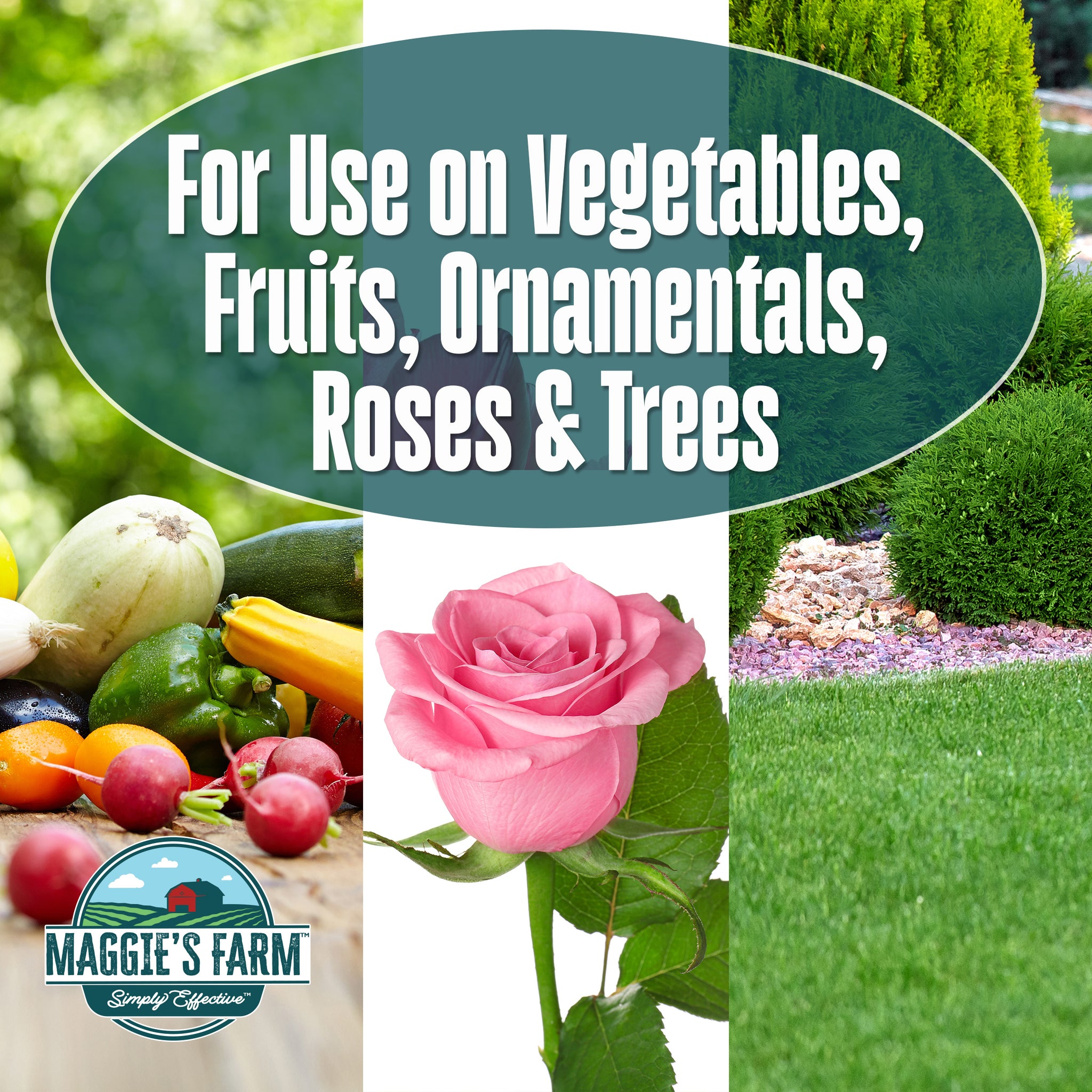 maggie's farm 3-in-1 garden spray directions Vegetable Garden Insect & Disease Control – Maggie's Farm Ltd