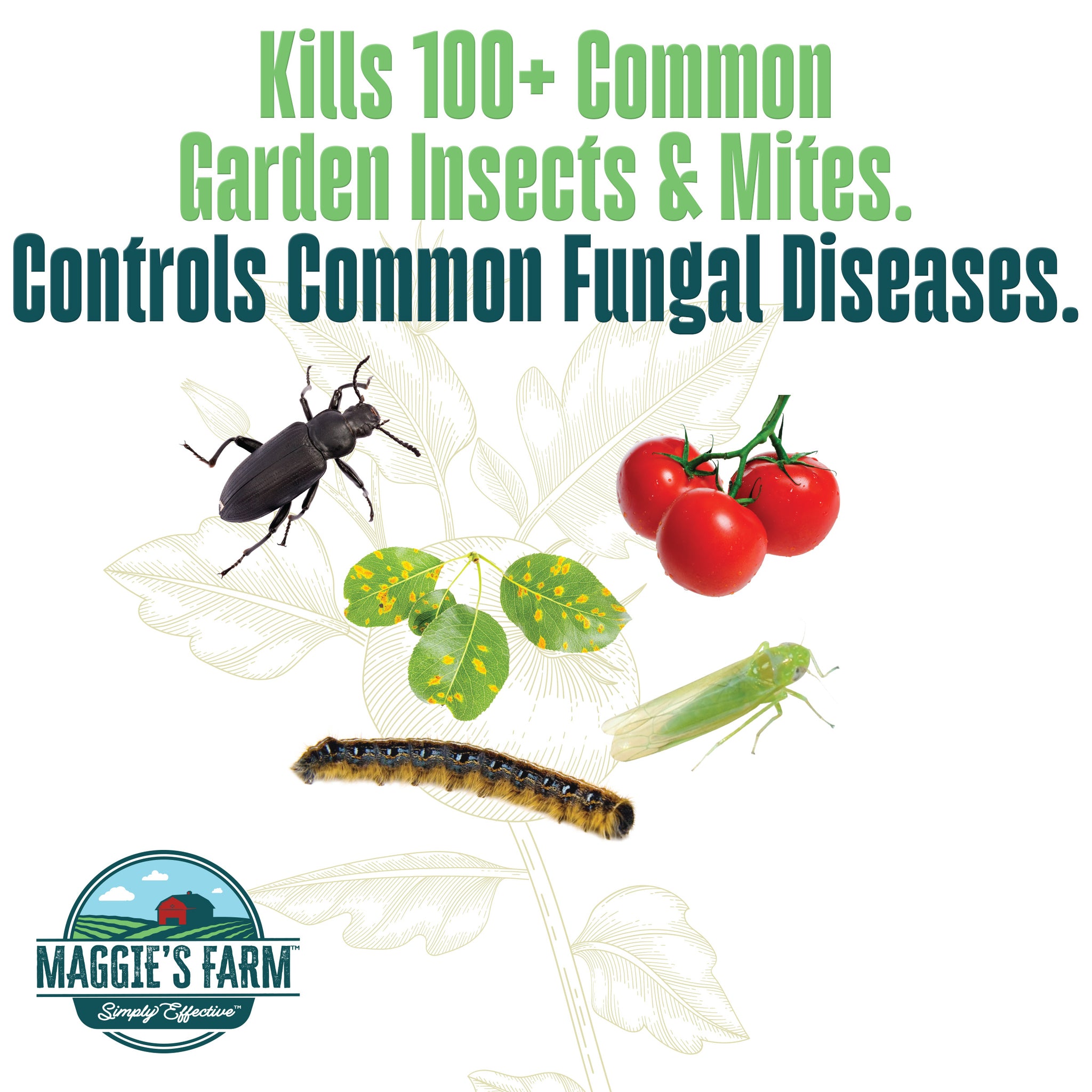 maggie's farm 3 in 1 garden spray directions Vegetable Garden Insect & Disease Control – Maggie's Farm Ltd