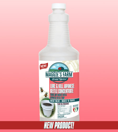 Lure & Kill Japanese Beetle Concentrate