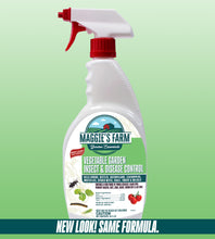 Vegetable Garden Insect & Disease Control