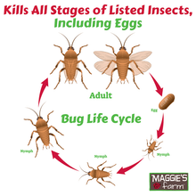 Maggie's Farm Garden Essentials Beetle & Boxelder Bug Killer