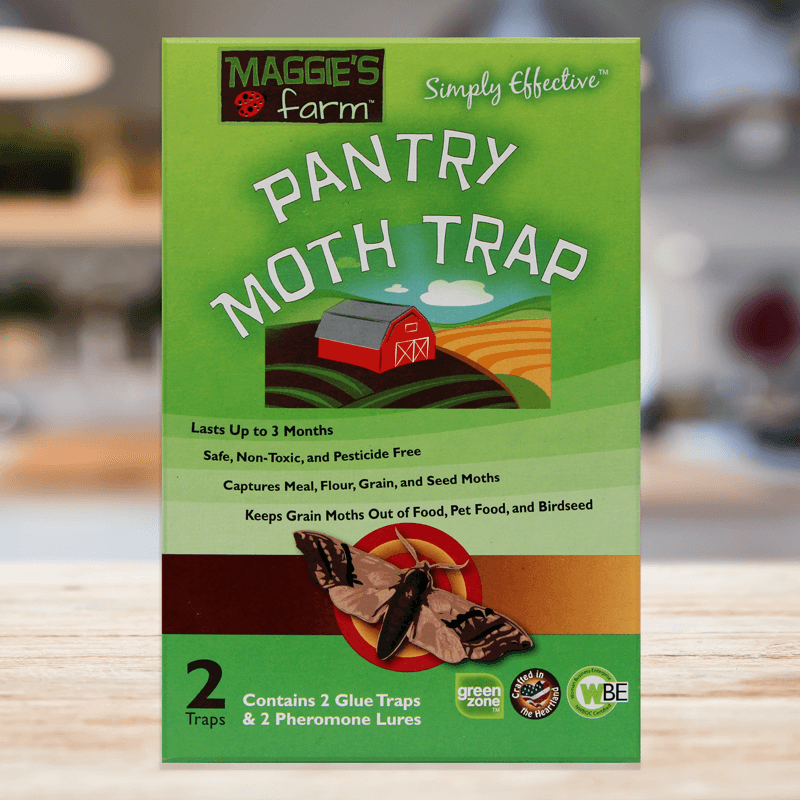 TRAP IT! Pantry Moth Traps 10 Pack Sticky Glue Trap with