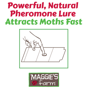 Maggie's Farm Simply Effective Pantry Moth Trap